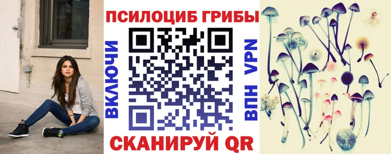 Галлюциногенные грибы Psilocybe где купить наркотик Феодосия